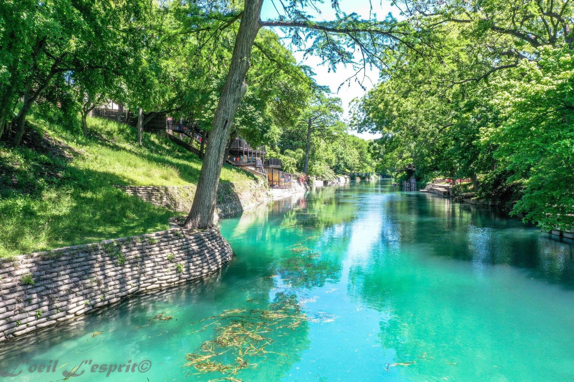 The Iron Cactus Condo On The Comal Cw C102 New Braunfels Esterno foto